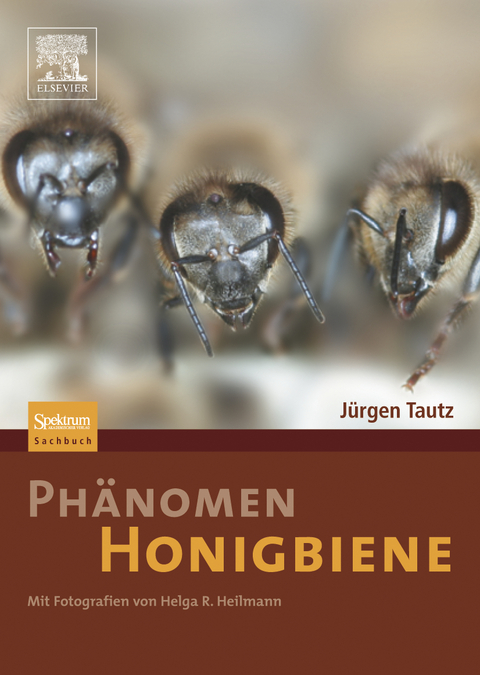 Phänomen Honigbiene - Jürgen Tautz, Helga R. Heilmann