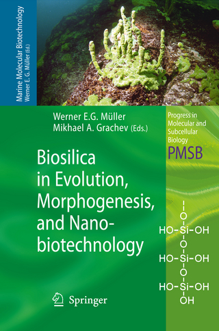 Biosilica in Evolution, Morphogenesis, and Nanobiotechnology - Werner E. G. Müller; Mikhael A. Grachev