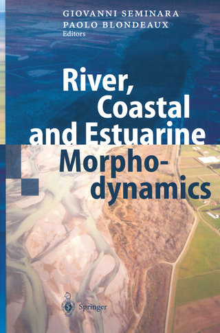 River, Coastal and Estuarine Morphodynamics - G. Seminara; P. Blondeaux