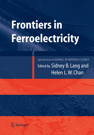 Frontiers of Ferroelectricity - Sidney B. Lang; Helen L.W. Chan