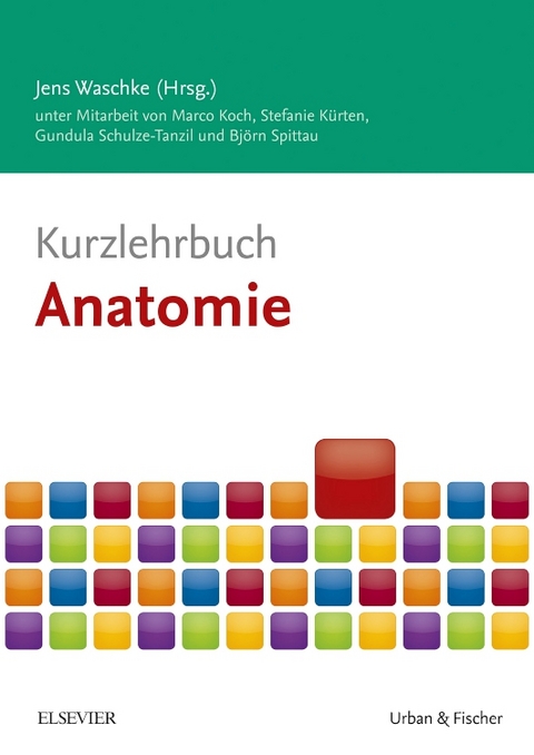 Kurzlehrbuch Anatomie - Marco Koch, Stefanie Kürten, Gundula Schulze-Tanzil, Björn Spittau