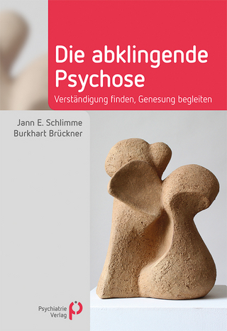 Die abklingende Psychose - Jann Schlimme; Burkhart Brückner