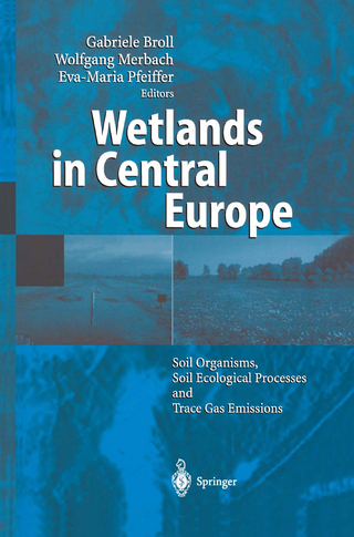 Wetlands in Central Europe - Gabriele Broll; Wolfgang Merbach; Eva-Maria Pfeiffer