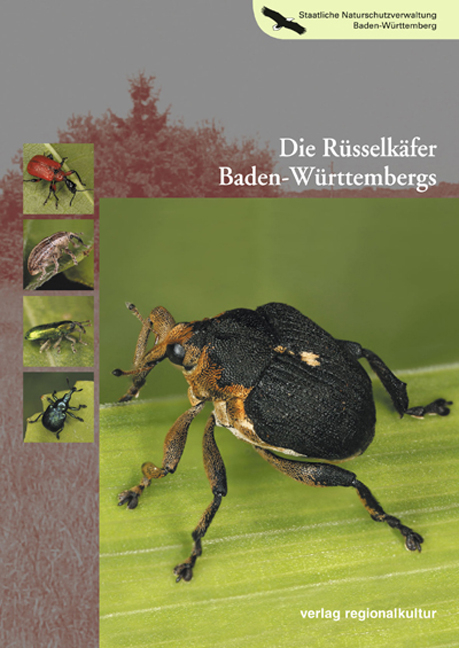 Die Rüsselkäfer Baden-Württembergs - Michael Hassler, Joachim Rheinheimer