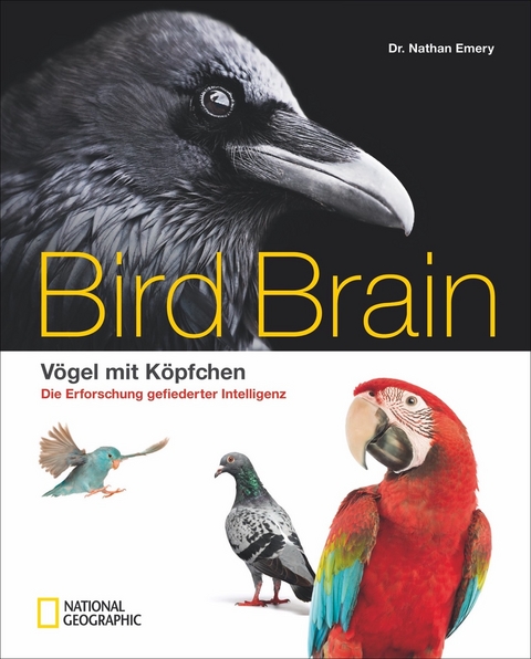 Bird Brain - Nathan Emery