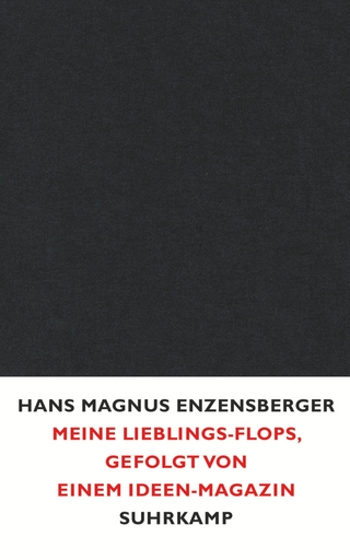 Meine Lieblings-Flops, gefolgt von einem Ideen-Magazin - Hans Magnus Enzensberger