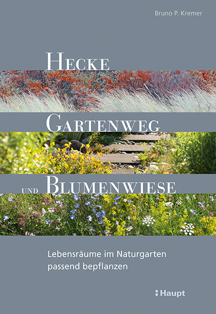 Hecke, Gartenweg und Blumenwiese - Bruno P. Kremer