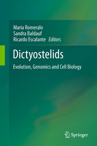 Dictyostelids - Maria Romeralo; Sandra Baldauf; Ricardo Escalante