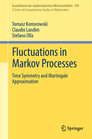 Fluctuations in Markov Processes - Tomasz Komorowski; Claudio Landim; Stefano Olla