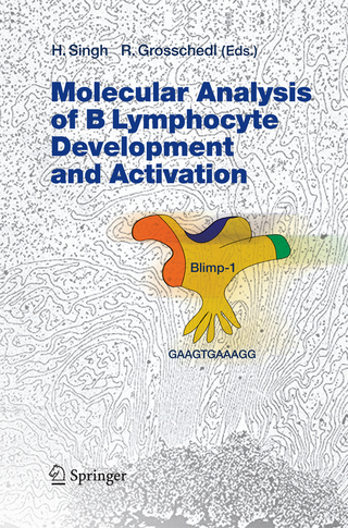 Molecular Analysis of B Lymphocyte Development and Activation - Harinder Singh; Rudolf Grosschedl