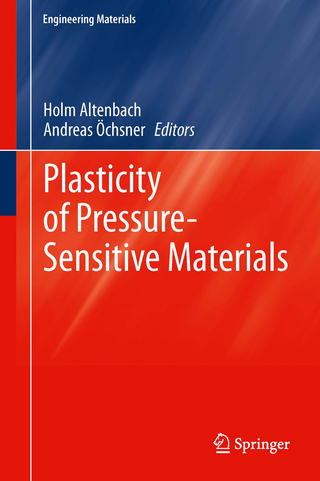 Plasticity of Pressure-Sensitive Materials - Holm Altenbach; Andreas Öchsner