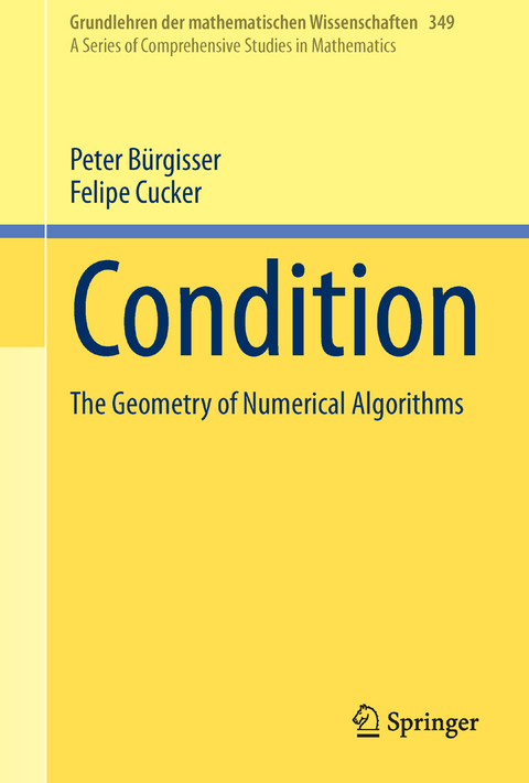 Condition - Peter Bürgisser, Felipe Cucker