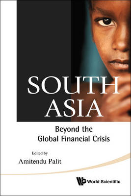 South Asia: Beyond The Global Financial Crisis - Amitendu Palit