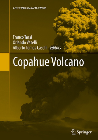 Copahue Volcano - Franco Tassi; Orlando Vaselli; Alberto Tomas Caselli