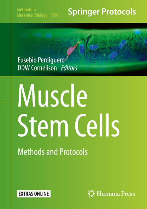 Muscle Stem Cells - 
