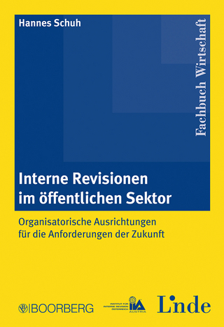 Interne Revisionen im öffentlichen Sektor - Hannes Schuh