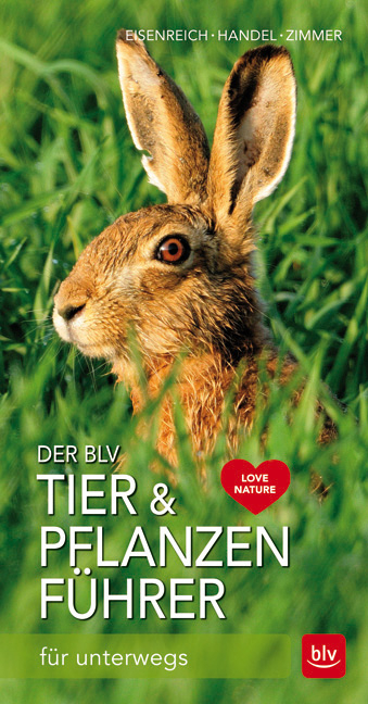 Der BLV Tier- und Pflanzenführer - Wilhelm Eisenreich, Alfred Handel, Ute E. Zimmer