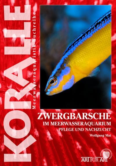 Zwergbarsche im Meerwasseraquarium - Wolfgang Mai