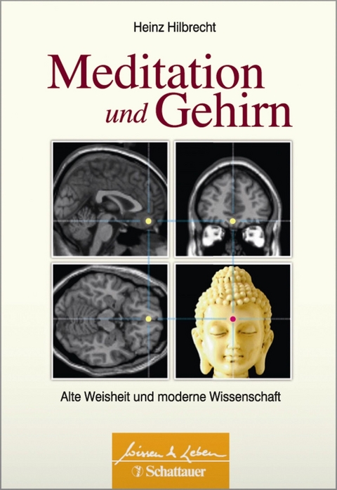 Meditation und Gehirn (Wissen & Leben) - Heinz Hilbrecht