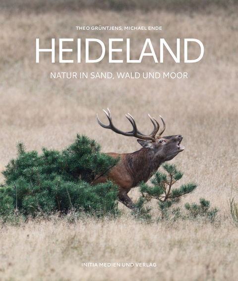 Heideland - Theo Grüntjens, Michael Ende
