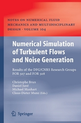 Numerical Simulation of Turbulent Flows and Noise Generation - 
