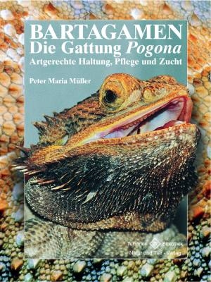Bartagamen - Die Gattung Pogona - Peter Maria Müller