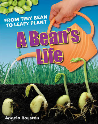 A Bean's Life - Angela Royston
