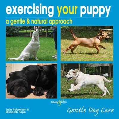 Exercising Your Puppy - Julia Robertson, Elisabeth Pope