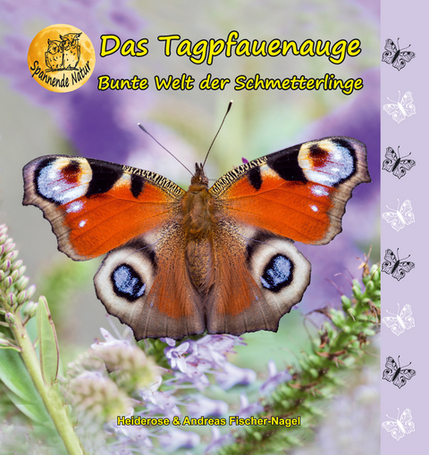 Bunte Welt der Schmetterlinge - Heiderose Fischer-Nagel, Andreas Fischer-Nagel