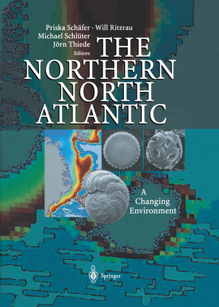 The Northern North Atlantic - Priska Schäfer; Will Ritzrau; Michael Schlüter; Jörn Thiede