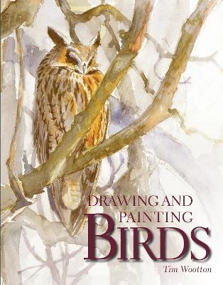 Drawing and Painting Birds - Tim Wootton
