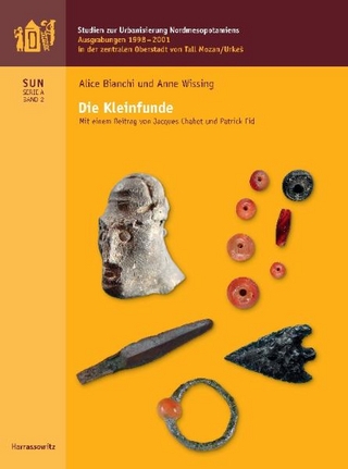 Ausgrabungen 1998-2001 in der Zentralen Oberstadt von Tall Mozan / Urkes - Alice Bianchi; Anne Wissing