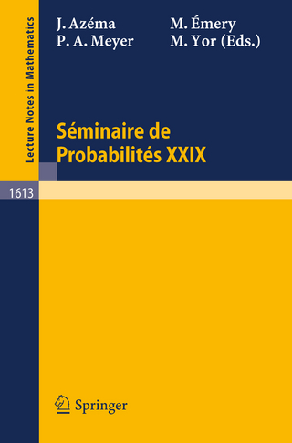 Seminaire de Probabilites XXIX - Jacques Azema; Michel Emery; Paul-Andre Meyer; Marc Yor