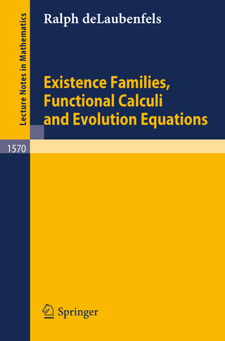 Existence Families, Functional Calculi and Evolution Equations - Ralph DeLaubenfels