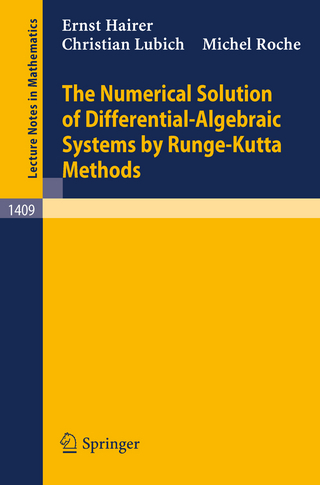 The Numerical Solution of Differential-Algebraic Systems by Runge-Kutta Methods - Ernst Hairer; Christian Lubich; Michel Roche