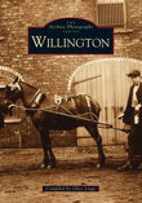 Willington - Olive Linge