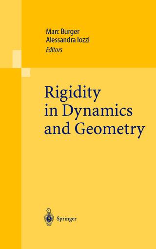 Rigidity in Dynamics and Geometry - Marc Burger; Alessandra Iozzi