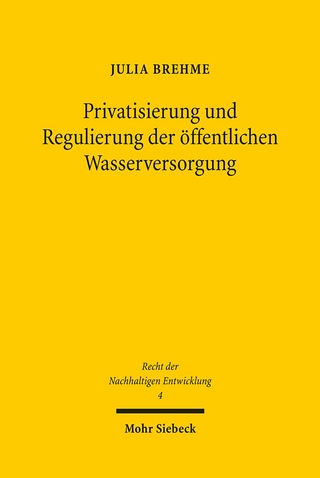 Privatisierung und Regulierung der öffentlichen Wasserversorgung - Julia Brehme