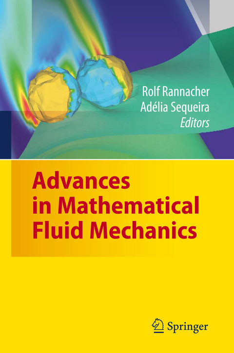 Advances in Mathematical Fluid Mechanics - 