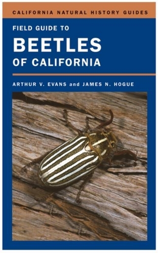 Field Guide to Beetles of California - Arthur V. Evans; James N. Hogue