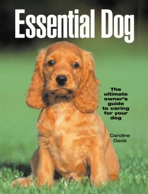 The Essential Dog