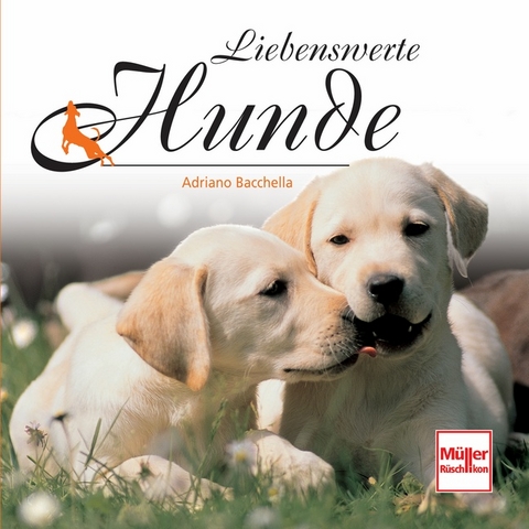 Liebenswerte Hunde - Adriano Baccella