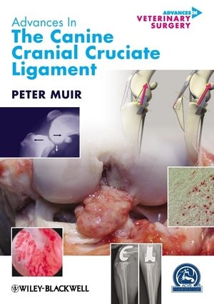 Advances in the Canine Cranial Cruciate Ligament - 