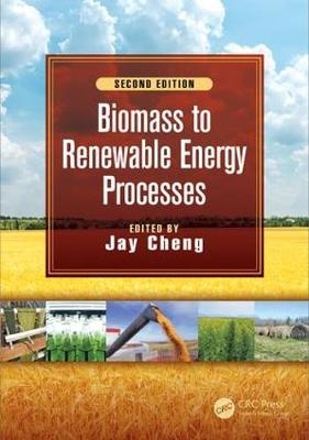Biomass to Renewable Energy Processes - 
