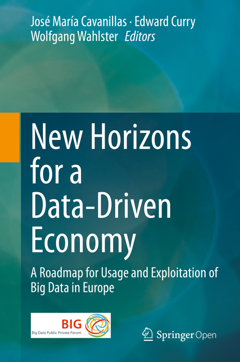 New Horizons for a Data-Driven Economy - 