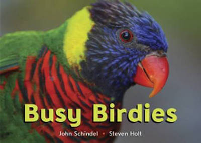 Story Places B/B: Busy Bird -  "Abel"