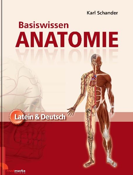 Basiswissen Anatomie