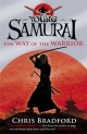 The Way of the Warrior (Young Samurai Book 1)