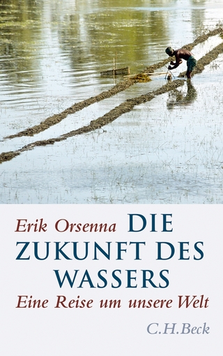 Die Zukunft des Wassers - Érik Orsenna