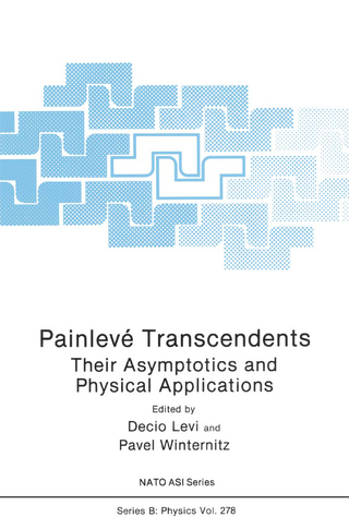 Painlevé Transcendents - Decio Levi; Pavel Winternitz